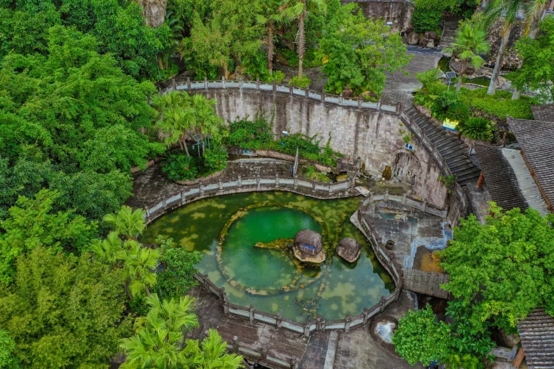 抉择之沼_抉择之沼_抉择之沼